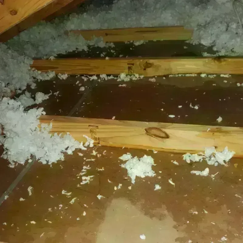 Attic Water Damage in Brookland, AR